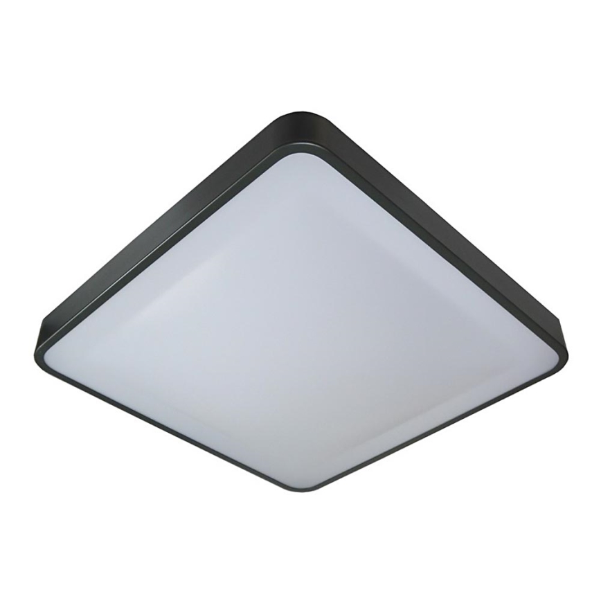 LED Stropní svítidlo WILTON LED/24W/230V 37,5x37,5 cm antracit