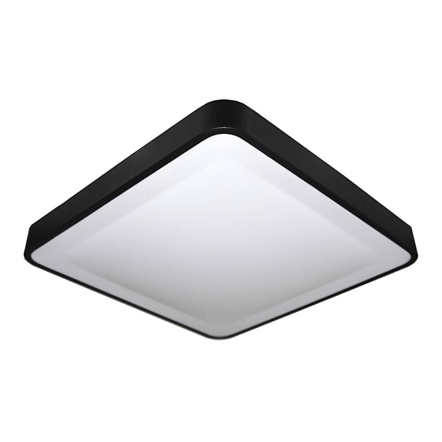 LED Stropní svítidlo WILTON LED/24W/230V 37,5x37,5 cm černá