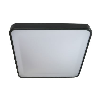 LED Stropní svítidlo WILTON LED/24W/230V 37,5x37,5 cm antracit