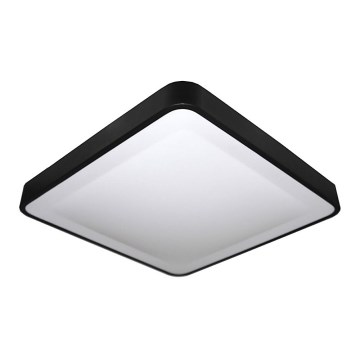 LED Stropní svítidlo WILTON LED/24W/230V černá