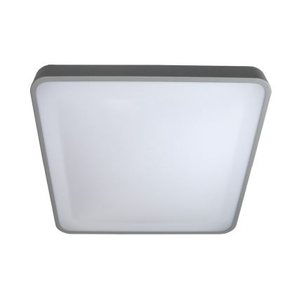 LED Stropní svítidlo WILTON LED/24W/230V 37,5x37,5 cm šedá