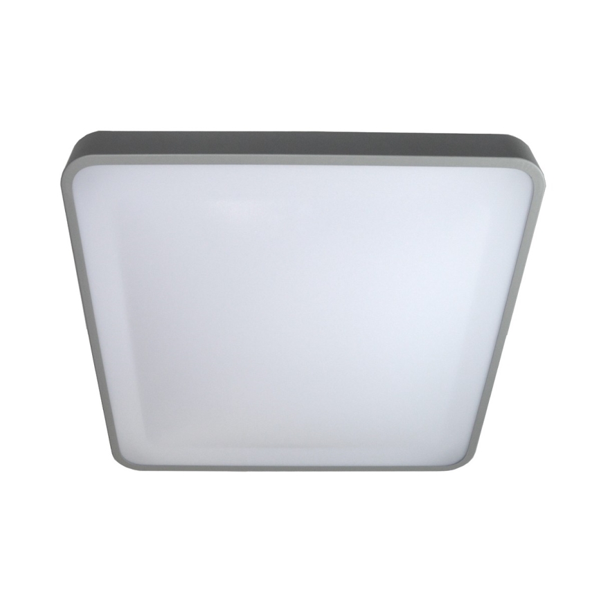 LED Stropní svítidlo WILTON LED/24W/230V 37,5x37,5 cm šedá