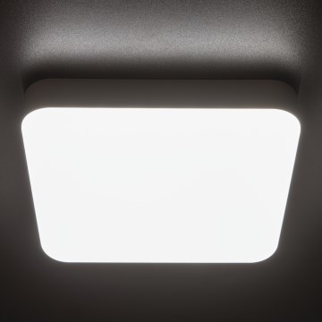 LED Technické stropní svítidlo se senzorem pohybu IPER LED/26W/230V IK10 IP65 hranatý bílá