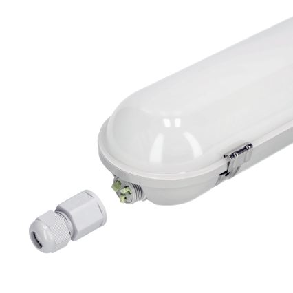 LED Technické zářivkové svítidlo NEXFORCE LED/40W/230V IP65 4000K