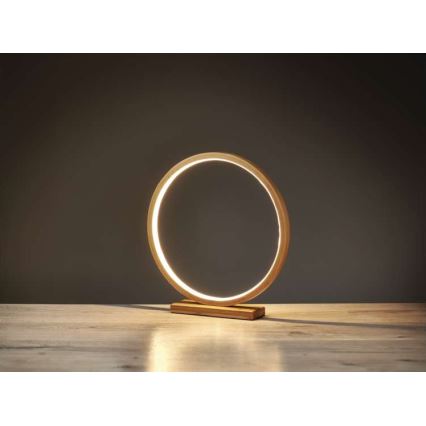 LED Vánoční dekorace 113xLED/2,4W/230V