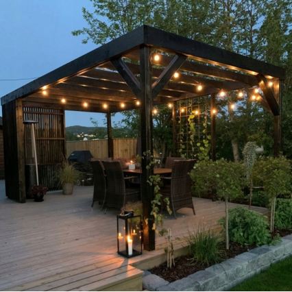 LED Venkovní dekorační řetěz 20xE27/1W/230V 11,44 m IP44 černá