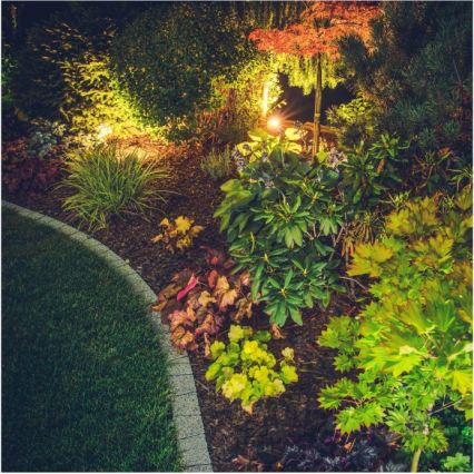 LED Venkovní lampa BLAKE LED/5W/230V 4000K IP65 černá