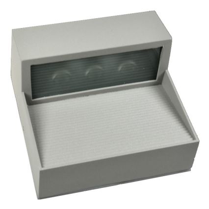 LED Venkovní nástěnné svítidlo CARRI LED/3W/230V IP54