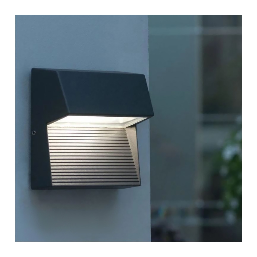 LED Venkovní nástěnné svítidlo CARRI LED/3W/230V IP54