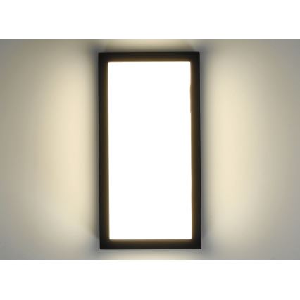 LED Venkovní nástěnné svítidlo ENTERA LED/10W/230V 4000K IP54