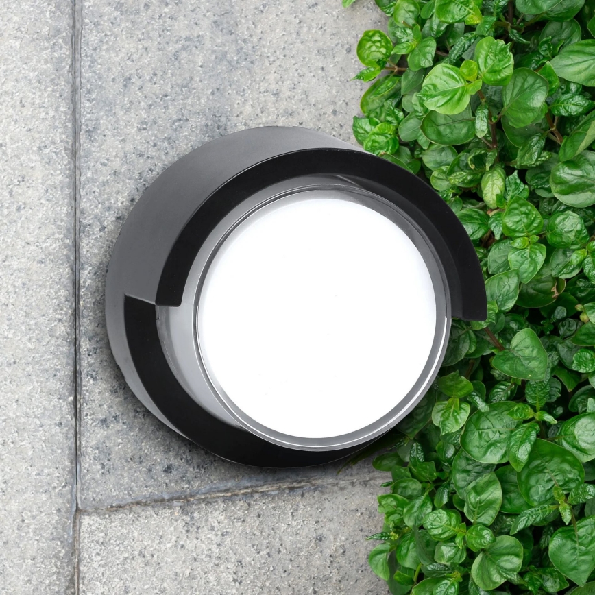 LED Venkovní nástěnné svítidlo ESSEN LED/10W/230V IP44 černá