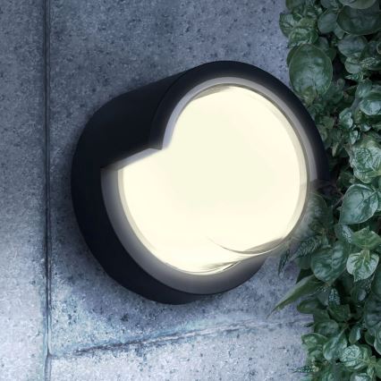 LED Venkovní nástěnné svítidlo ESSEN LED/10W/230V IP44 černá