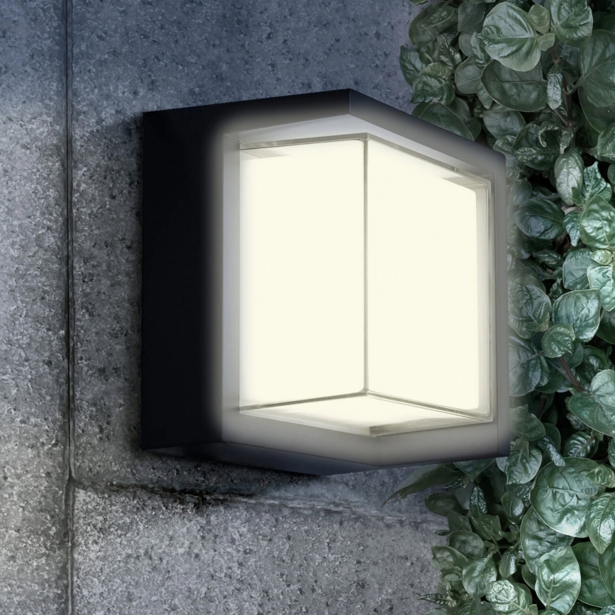 LED Venkovní nástěnné svítidlo ESSEN LED/12W/230V IP44 černá