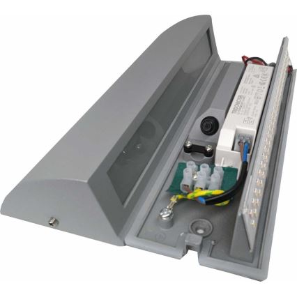 LED Venkovní nástěnné svítidlo LED/10W/230V IP54
