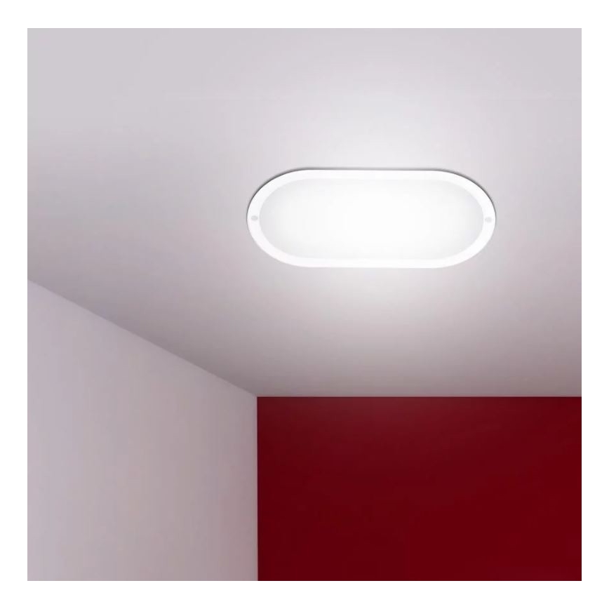 LED Venkovní nástěnné svítidlo LED/12W/230V IP54 4000K