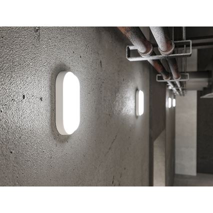 LED Venkovní nástěnné svítidlo LED/12W/230V IP54 bílá