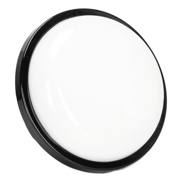 LED Venkovní nástěnné svítidlo LED/15W/230V 6500K pr. 15,5 cm černá IP65