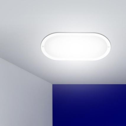 LED Venkovní nástěnné svítidlo LED/20W/230V IP54 4000K