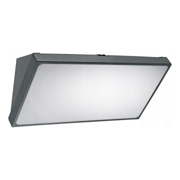 LED Venkovní nástěnné svítidlo LED/20W/230V IP65 šedá