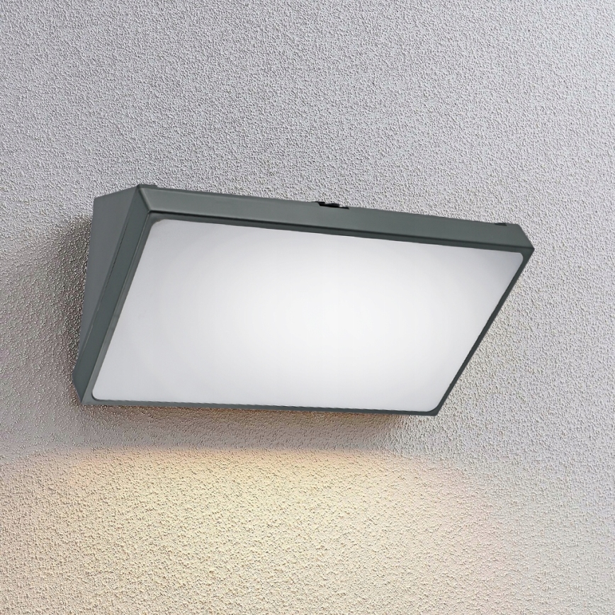 LED Venkovní nástěnné svítidlo LED/20W/230V IP65 šedá