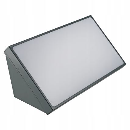 LED Venkovní nástěnné svítidlo LED/20W/230V IP65 šedá