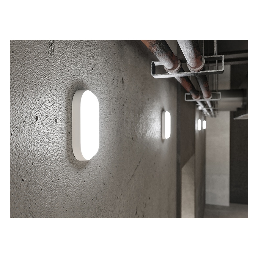 LED Venkovní nástěnné svítidlo LED/6W/230V IP54 bílá