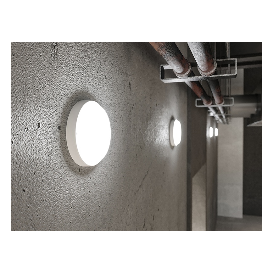 LED Venkovní nástěnné svítidlo LED/9W/230V IP54 bílá