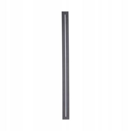 LED Venkovní nástěnné svítidlo LINEA LED/12W/230V IP65 61 cm antracit