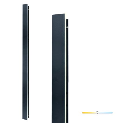 LED Venkovní nástěnné svítidlo MIRANA LED/25W/230V 4000K IP44 120 cm černá