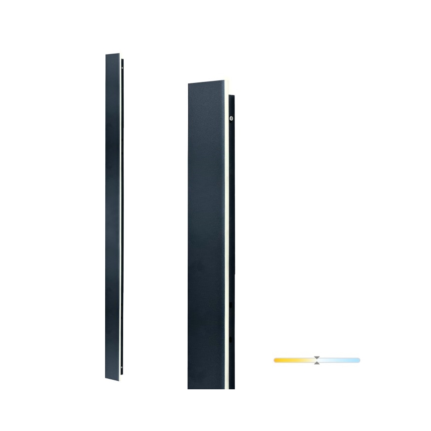 LED Venkovní nástěnné svítidlo MIRANA LED/25W/230V 4000K IP44 120 cm černá