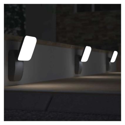 LED Venkovní nástěnné svítidlo NIKA LED/12,5W/230V IP44