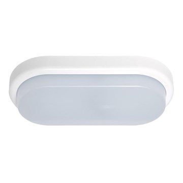 LED Venkovní nástěnné svítidlo OVAL LED/12W/230V IP54