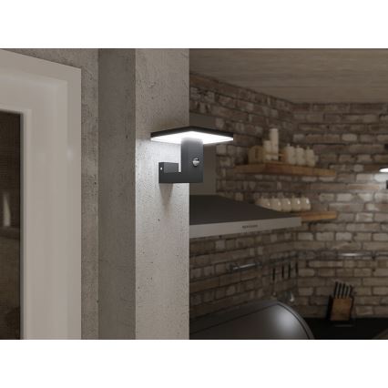 LED Venkovní nástěnné svítidlo se senzorem BARI LED/10W/230V 4000K IP54 antracit