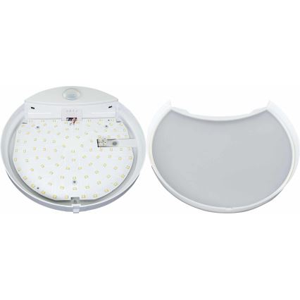 LED Venkovní nástěnné svítidlo se senzorem HIBIS LED/15W/230V IP44