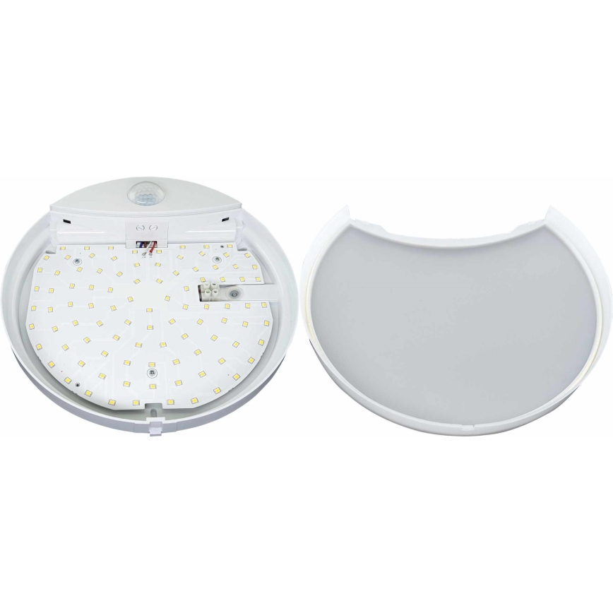 LED Venkovní nástěnné svítidlo se senzorem HIBIS LED/15W/230V IP44