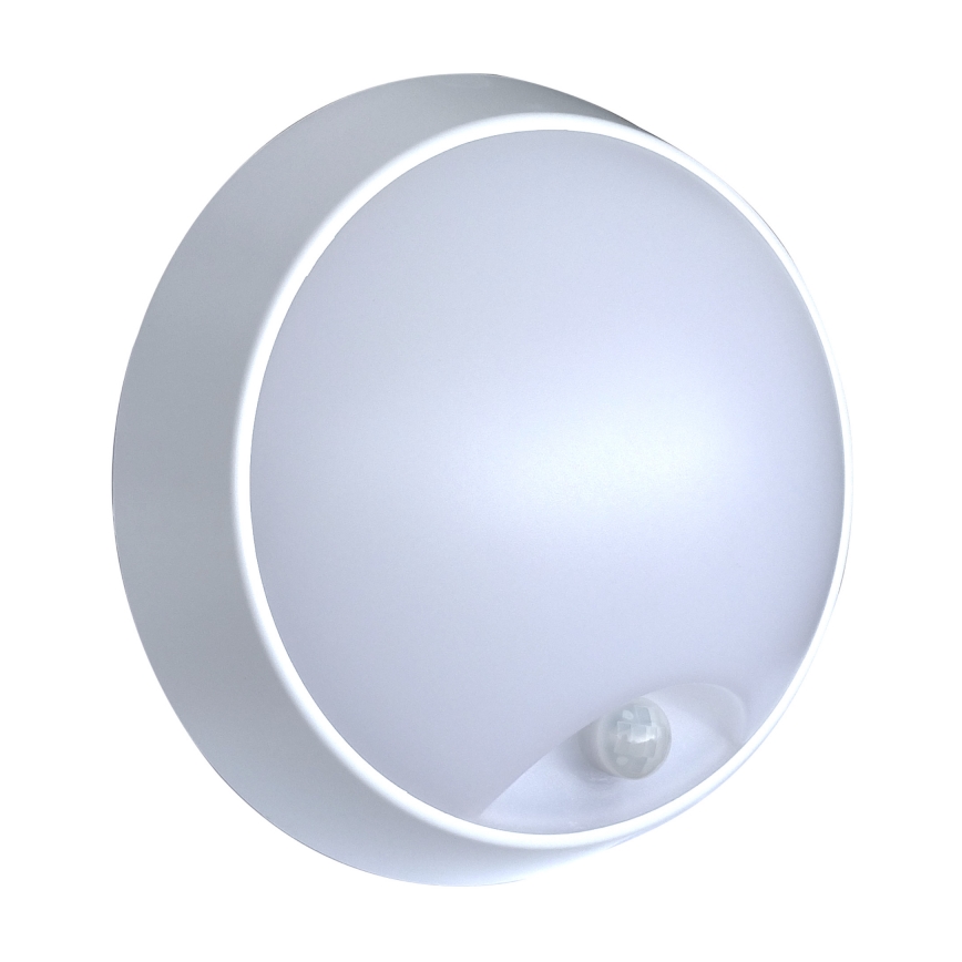 LED Venkovní nástěnné svítidlo se senzorem LED/15W/230V 4000K IP65