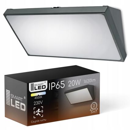 LED Venkovní nástěnné svítidlo se senzorem pohybu LED/20W/230V IP65 šedá