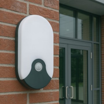 LED Venkovní nástěnné svítidlo se senzorem pohybu LED/18W/230V IP44 antracit