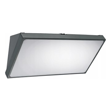 LED Venkovní nástěnné svítidlo se senzorem pohybu LED/20W/230V IP65 šedá