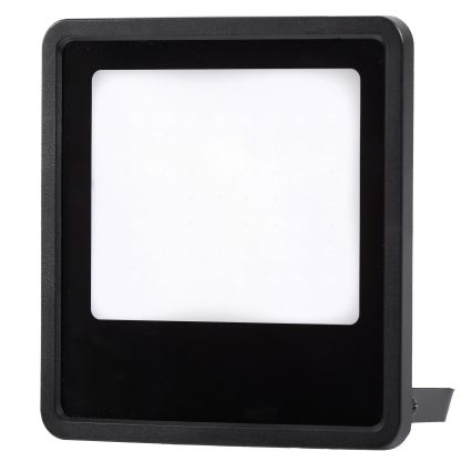 LED Venkovní reflektor LED/100W/230V 4000K IP65 černá