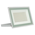 LED Venkovní reflektor NOCTIS LUX 3 LED/100W/230V 4000K IP65 bílá