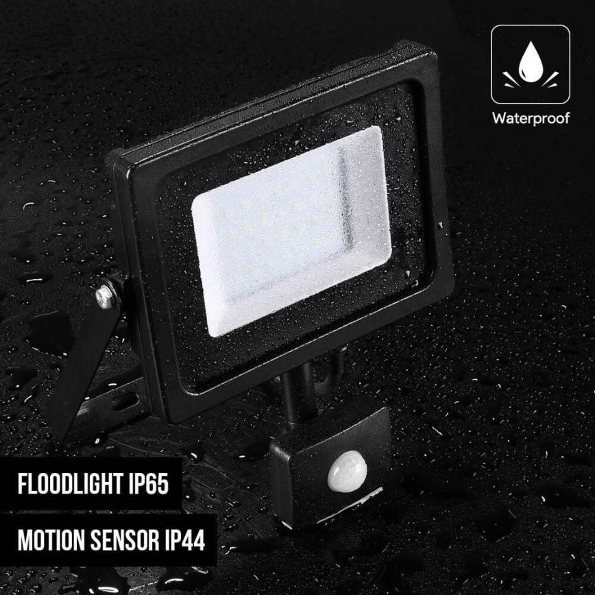 LED Venkovní reflektor se senzorem NOCTIS LUX 2 LED/30W/230V 4000K IP44 černá