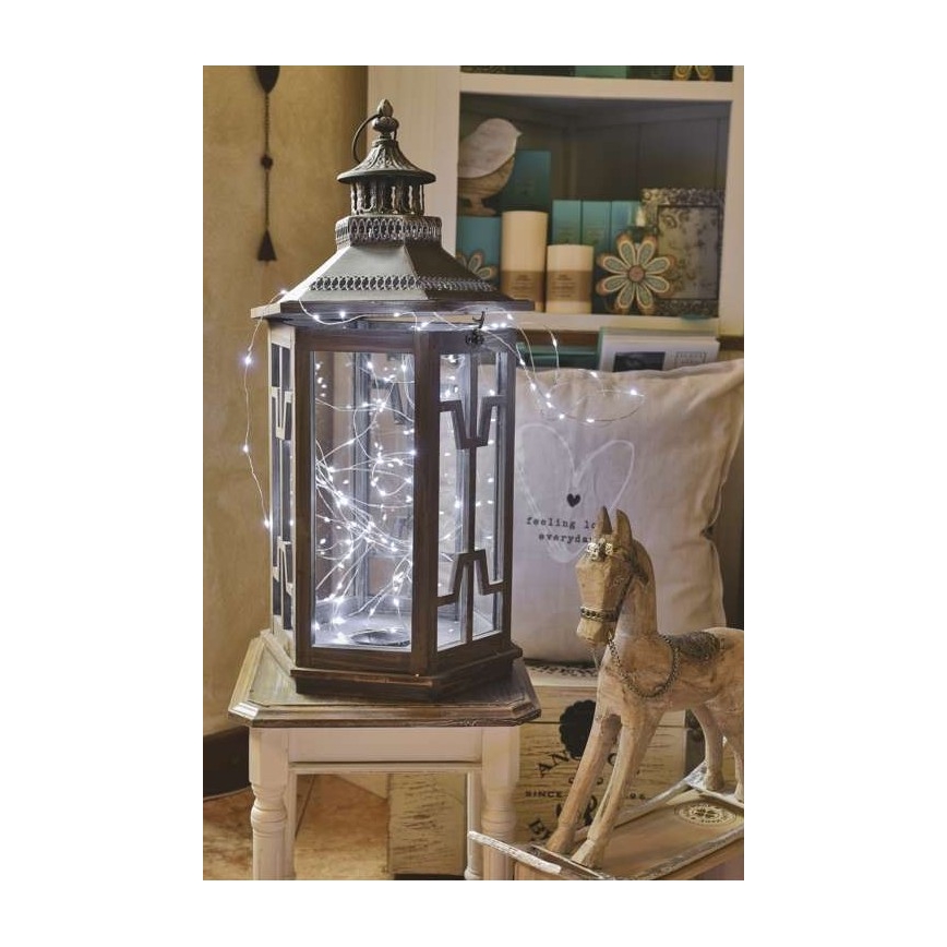 LED  venkovní řetěz 100xLED/15m IP44 studená bílá