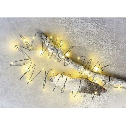 LED  venkovní řetěz 40xLED/9m IP44 teplá bílá
