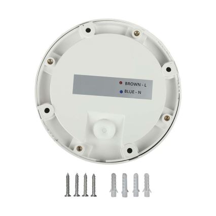 LED Venkovní schodišťové svítidlo LED/2W/230V IP65 4000K bílá