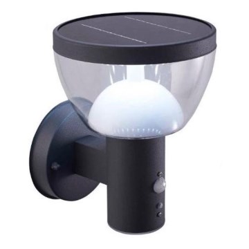 LED Venkovní solární nástěnné svítidlo se senzorem LARIX LED/3W/3,7V 2200 mAh IP44
