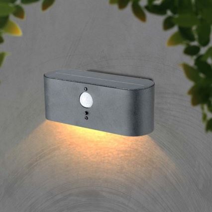 LED Venkovní solární nástěnné svítidlo se senzorem LED/2,5W/3,7V 3000K IP54 2000 mAh
