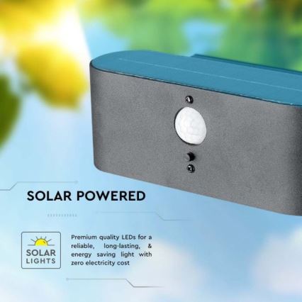 LED Venkovní solární nástěnné svítidlo se senzorem LED/2,5W/3,7V 3000K IP54 2000 mAh