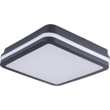 LED Venkovní stropní svítidlo BENO LED/24/30W/230V 3000/3500/4000K IP65 antracit hranatý