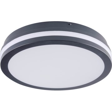 LED Venkovní stropní svítidlo BENO LED/24/30W/230V 3000/3500/4000K IP65 antracit kulatý